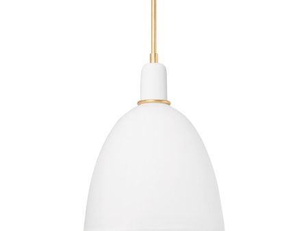 Copake 1-Light Pendant Online