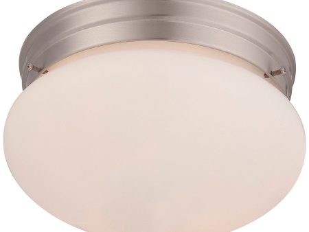 2-Light Ceiling Light Fashion