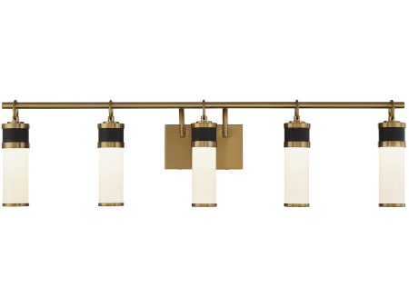 Abel 5-Light LED Bathroom Vanity Light For Discount